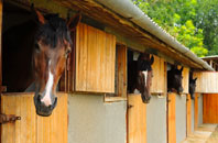free Bullocks Horn stable construction quotes